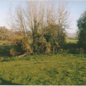 Onderzoek Schaapskooi: omgeving